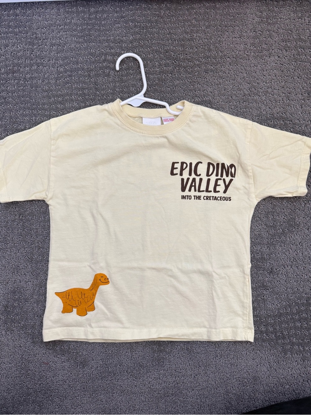 Zara Epic Dino Valley Cream Kids T-Shirt-5